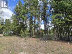 1406 BRUCE PLACE Valemount, BC V0E 1Z0