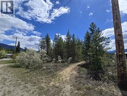 1025 9TH AVENUE Valemount, BC V0E 2Z0