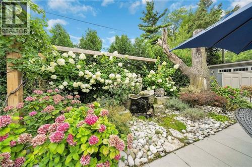 View of yard - 404 Mountain Brow Boulevard E, Hamilton, ON - Outdoor