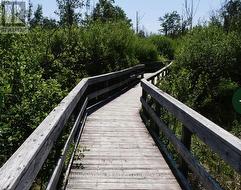 Fantastic Trail 1km board Walk - 