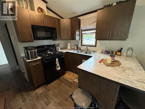 22 Poplar Lane, Leamington, ON - Indoor Photo Showing Kitchen With Double Sink