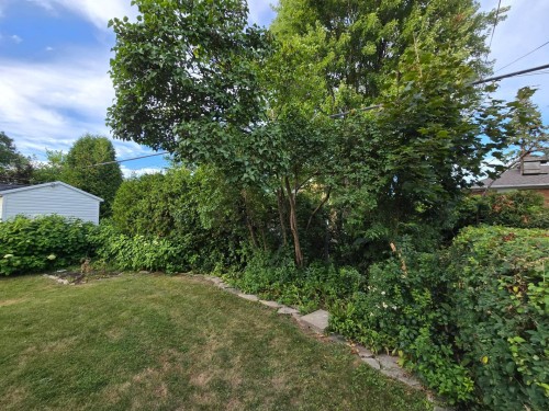 Cour - 139 Av. Giroux, Laval (Laval-Des-Rapides), QC - Outdoor