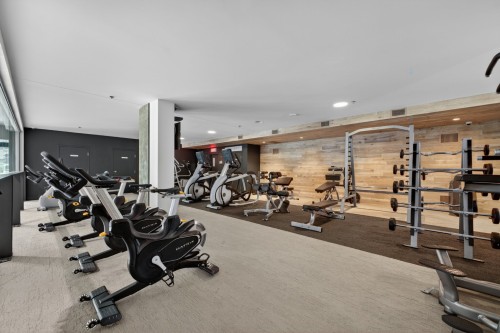 Salle d'exercice - 112-100 Rue Du Séminaire, Montréal (Le Sud-Ouest), QC - Indoor Photo Showing Gym Room