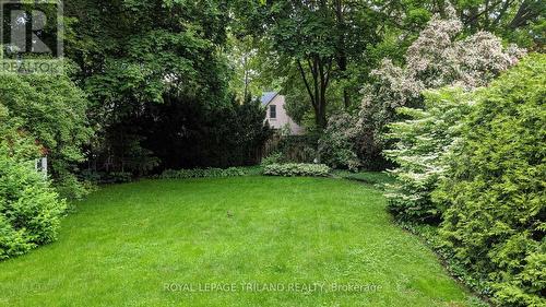 Outside: Yard - 937 Waterloo Street, London East (East B), ON - Outdoor