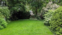 Outside: Yard - 