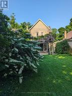 Outside: Yard - 
