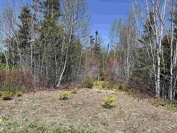 Lot 22 Marble Mountain Road Road South Side River Denys, NS B0E 2Y0
