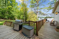 New BBQ  with lake views - 