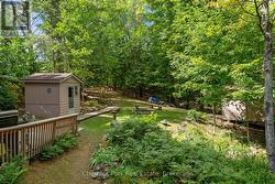 On the way to the shed and bunkie - 