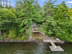 Privacy on Three Mile Lake from neighbours - 