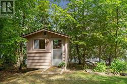 Bunkie - 