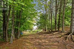Looking towards the bunkie - 
