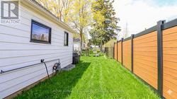 AI assisted grass - 