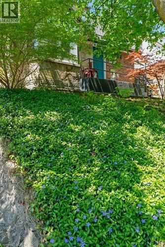 20 Ramore Street, Cambridge, ON - Outdoor