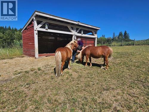 270 Brash-Allen Road, Enderby, BC - Outdoor