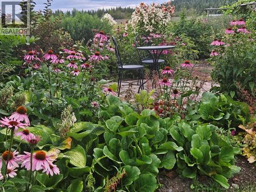 perennial garden ready to enjoy - 270 Brash-Allen Road, Enderby, BC - Outdoor
