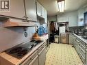 102 1St Avenue, Landis, SK  - Indoor Photo Showing Kitchen 