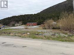 144-146 Main Street Lark Harbour, NL A0L 1H0