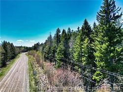 85-197 and 85-198 Harbour Heights DR Welshpool, NB E5E 1H6