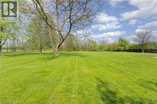 Expansive green space featuring a large lawn and mature trees - 1463 Kossuth Road, Cambridge, ON - Outdoor With View