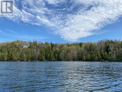 View from lake - 