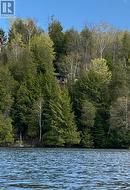 View from lake - 