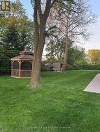 Back Yard and Gazebp - 
