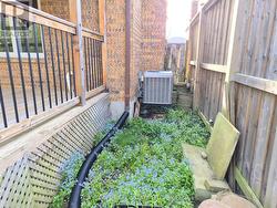 Side yard - 
