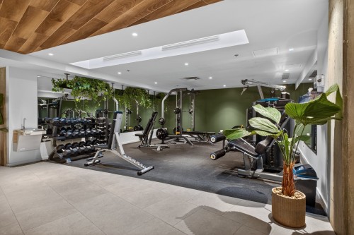 Salle d'exercice - 851-288 Rue Richmond, Montréal (Le Sud-Ouest), QC - Indoor Photo Showing Gym Room