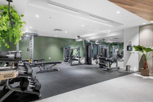 Salle d'exercice - 851-288 Rue Richmond, Montréal (Le Sud-Ouest), QC - Indoor Photo Showing Gym Room