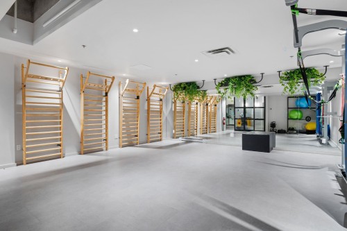 Salle d'exercice - 851-288 Rue Richmond, Montréal (Le Sud-Ouest), QC - Indoor