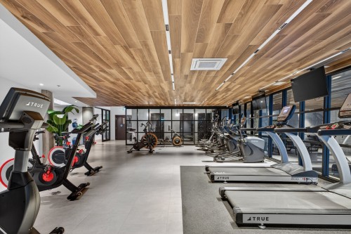 Salle d'exercice - 851-288 Rue Richmond, Montréal (Le Sud-Ouest), QC - Indoor Photo Showing Gym Room