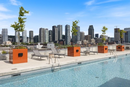 Piscine - 851-288 Rue Richmond, Montréal (Le Sud-Ouest), QC - Outdoor With In Ground Pool With View