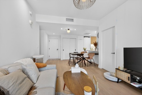 Salon - 851-288 Rue Richmond, Montréal (Le Sud-Ouest), QC - Indoor Photo Showing Living Room