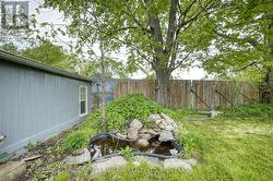 Backyard - 