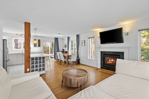 Living Room - 152 Rue Du Mont-Rainer, Sainte-Agathe-Des-Monts, QC - Indoor Photo Showing Living Room With Fireplace
