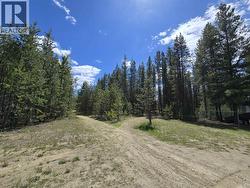 808 BEAVEN CRESCENT Valemount, BC V0E 2Z0