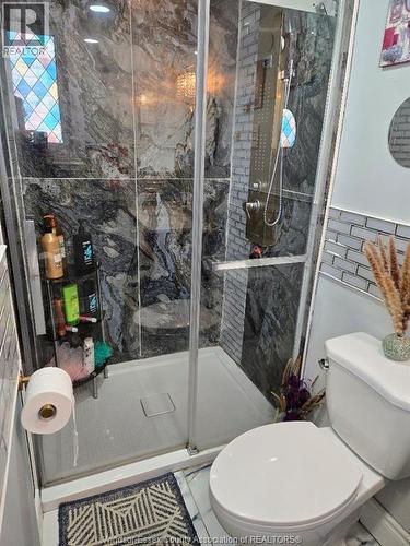 1175 Campbell, Windsor, ON - Indoor Photo Showing Bathroom