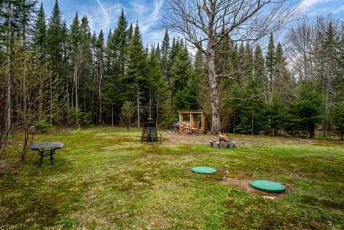 Cour - 21 Imp. De L'Eau-Vive, Saint-Donat, QC - Outdoor