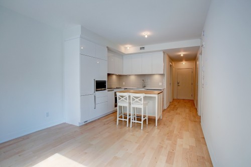 Living Room - 202-1170 Rue Montcalm, Montréal (Ville-Marie), QC - Indoor Photo Showing Kitchen