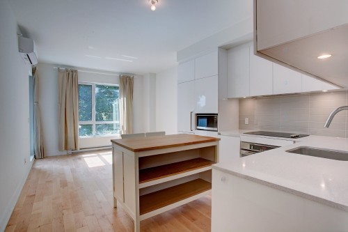 Interior - 202-1170 Rue Montcalm, Montréal (Ville-Marie), QC - Indoor Photo Showing Kitchen With Upgraded Kitchen