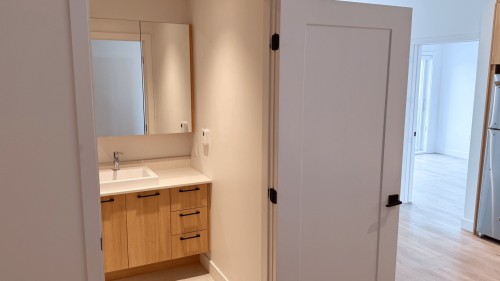 Salle de bains - 103-16 Rue St-Joseph, Sainte-Agathe-Des-Monts, QC 