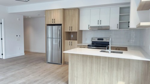 Kitchen - 109-16 Rue St-Joseph, Sainte-Agathe-Des-Monts, QC - Indoor Photo Showing Kitchen