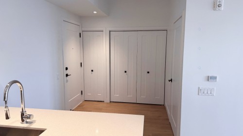 Hall d'entrée/Vestibule - 207-16 Rue St-Joseph, Sainte-Agathe-Des-Monts, QC 