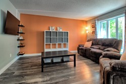Salon - 