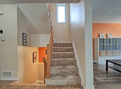 Escalier - 