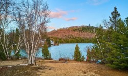 Bord de l'eau - 