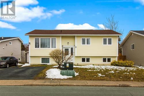 30 Virginia Place  St. John's, NL A1A 3G6