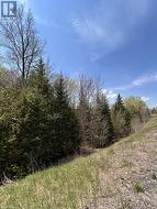 0 HIGHWAY 118 Faraday, ON K0L 1C0