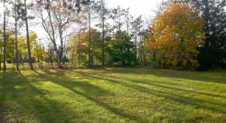 346 Rue de la Grève Saint-Vallier, QC G0R 4J0